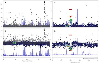 Departure from Hardy Weinberg Equilibrium and Genotyping Error